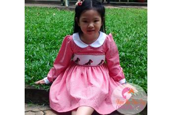 ÁO ĐẦM BÉ GÁI SẮC MÀU XUÂN MỚI.